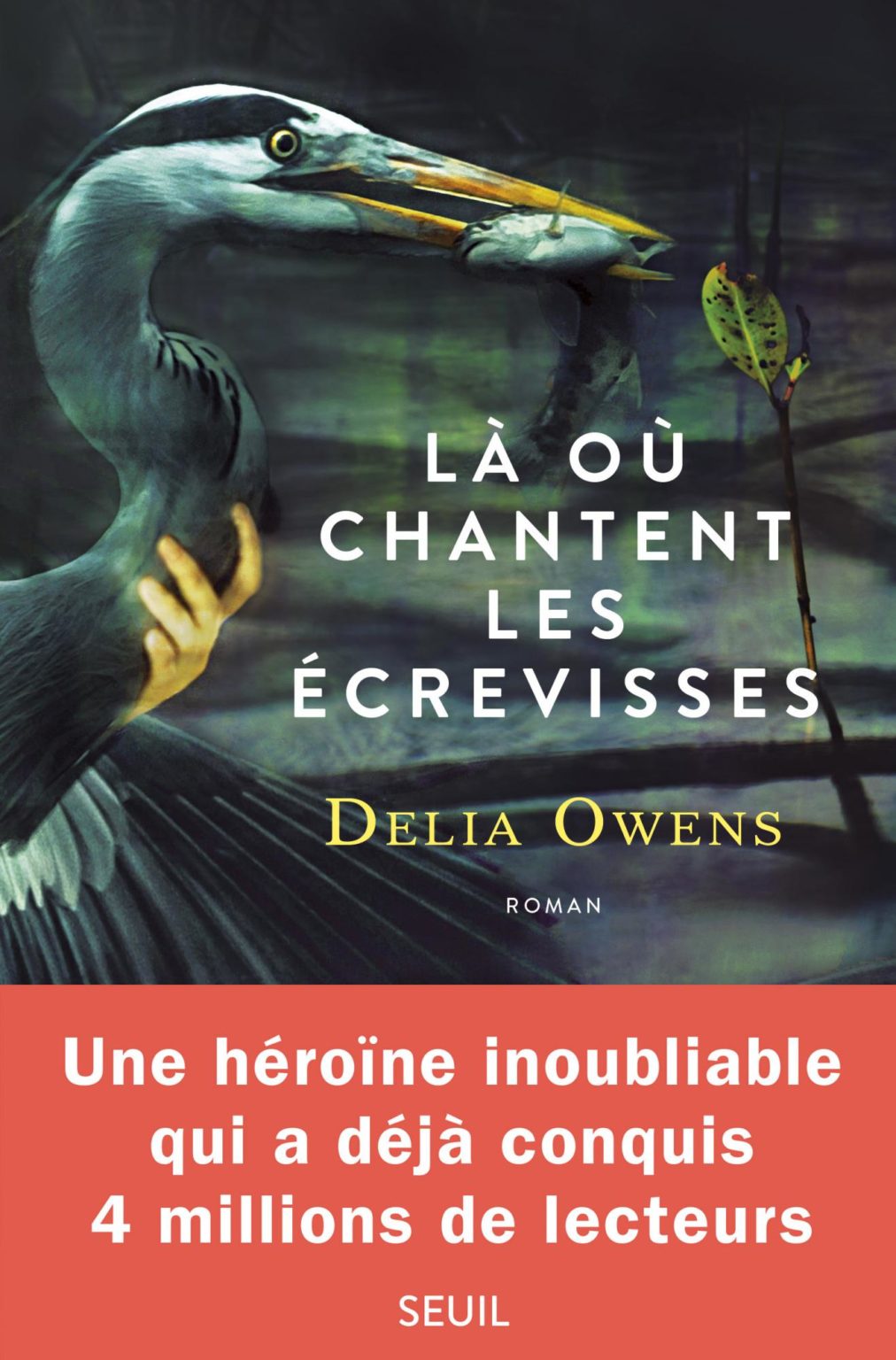 Horaires Des Séances Du Film Là Où Chantent Les écrevisses LÀ OÙ CHANTENT LES ÉCREVISSES – Delia Owens – une vie devant soi